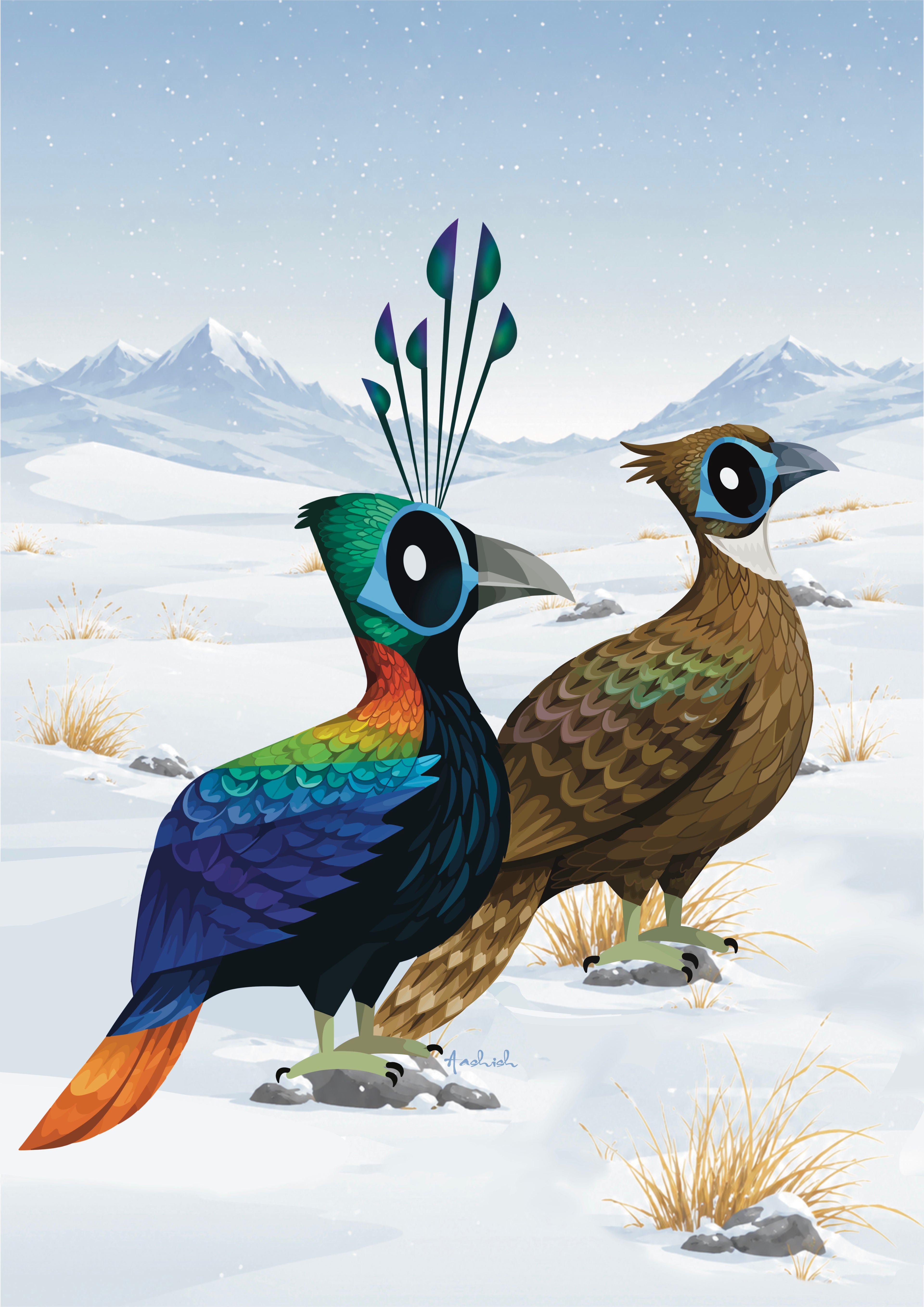 Monal bird