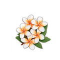 Tropical Plumeria
