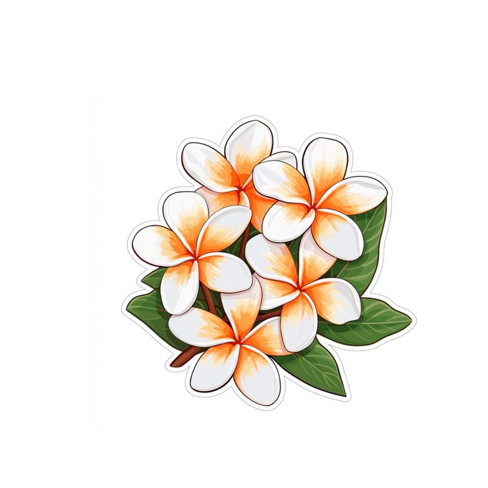 Tropical Plumeria