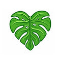 Monstera Leaf